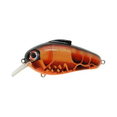 Echo 1.75'' Pinch'n Peach Echo 1.75'' Pinch'n Peach