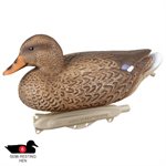 Storm Front Classic Mallard 12 / Pkg