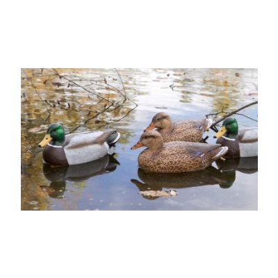FLAMBEAU Mallard - Floaters - 6-Pk. FLAMBEAU Mallard - Floaters - 6-Pk.